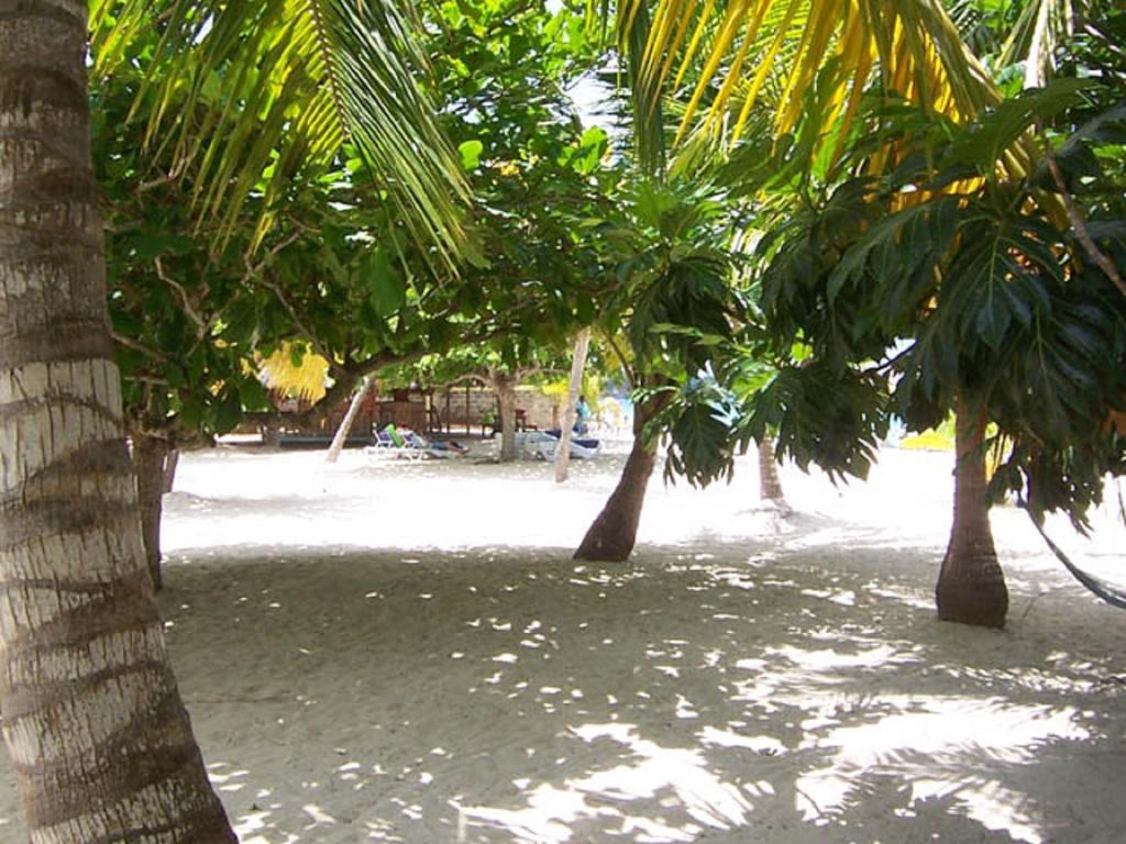 Yellow Bird Sea Negril Exterior foto